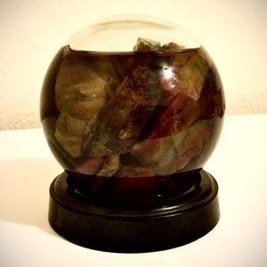 Petrified wood from Arizona!